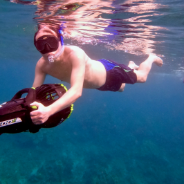 a person swimming in a body of water