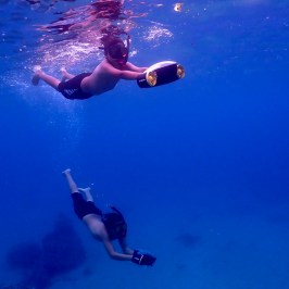 a person flying through the air while swimming in a body of water