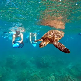 a person swimming in a body of water
