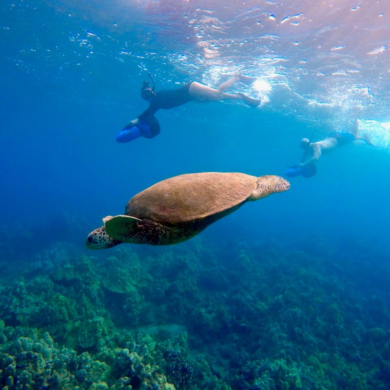 an underwater shot of a man
