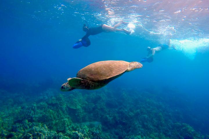 an underwater shot of a man