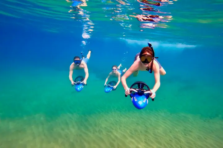 a group of people swimming in a body of water