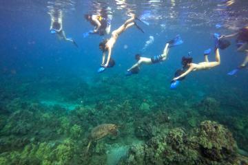 Sea Scooter Snorkeling in Maui, Hawaii | My Splash