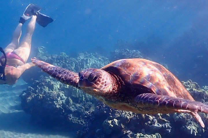 a person swimming in a body of water