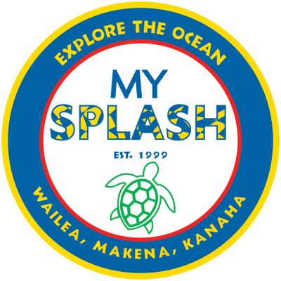 My Splash logo